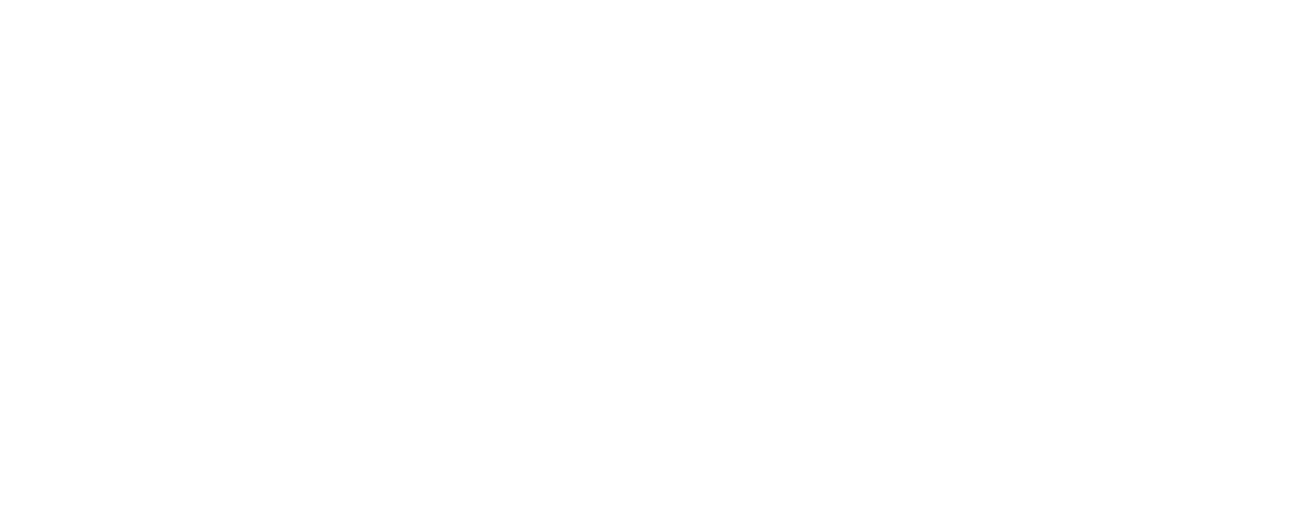 Pahal-Solar-Logo-WHITE (1)